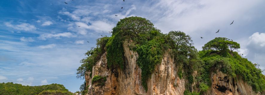 Santo Domingo: excursión de un día al Parque Nacional Los Haitises