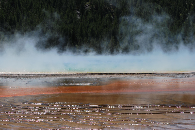 Yellowstone 2 Day Adventure - Upper and Lower Loop Tour