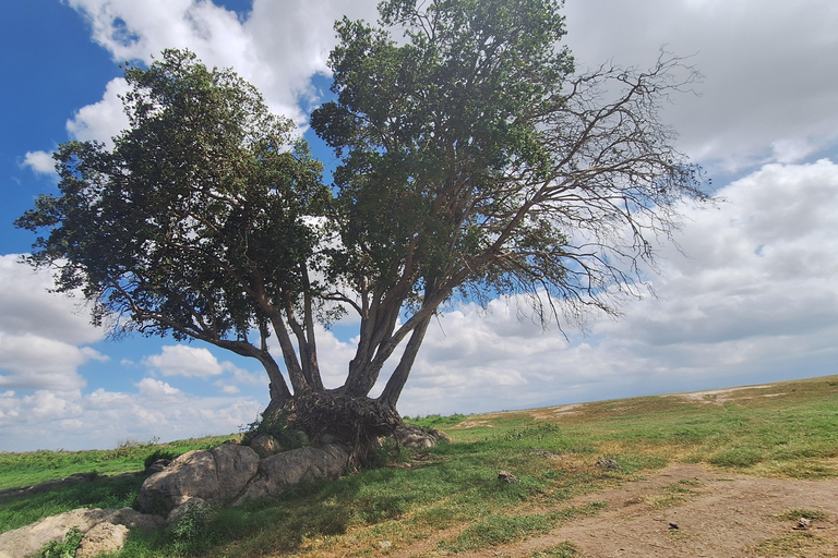 Nairobi: Amboseli National Park Tagestour mit PirschfahrtenSolo Nairobi: Amboseli National Park Tagestour