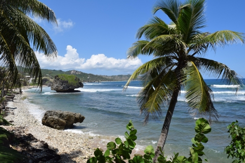 Piękna wycieczka krajoznawcza po wybrzeżu Barbadosu