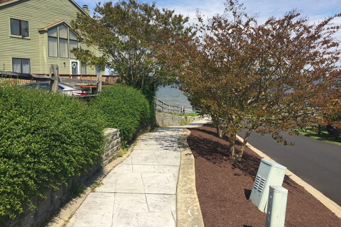 Chesapeake Beach: Begeleide wandeltocht naar The Cliffs