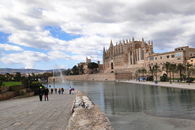 Drach Caves and Palma or Beach Retreat – Full-Day Tour