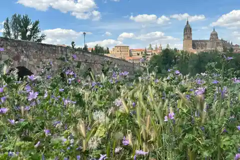 Madrid: Tour of the medieval jewels of Avila and Salamanca