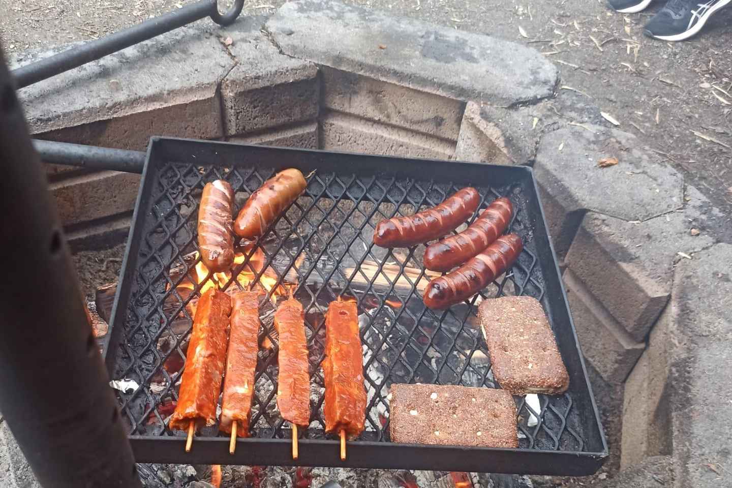 Rovaniemi: Berry Picking Tour with Traditional Laavu