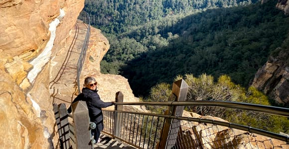 Blue Mountains private tour with Featherdale Wildlife Park
