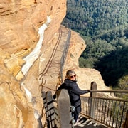 Blue Mountains private tour with Featherdale Wildlife Park