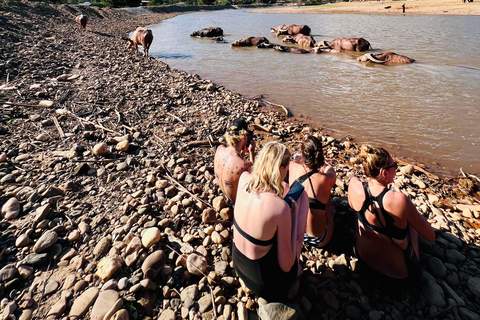 Chiangmai Halbtagestour - Wasserfall & Tubing