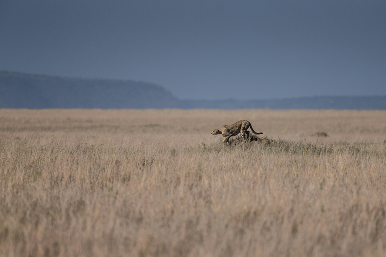 3 days mikumi and masai culture