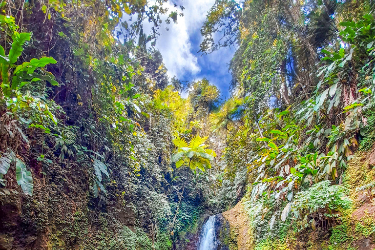 Chasing Waterfalls Grenada : Découvrir les joyaux cachés de la nature