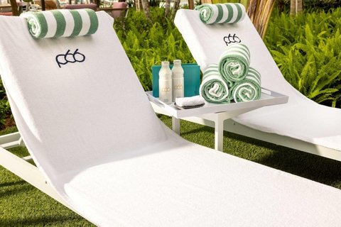 Fort Lauderdale: Pier Sixty-Six Resort Pool Day Pass
