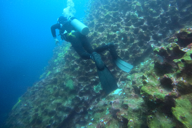 Descubrimiento de Galápagos EXPERIENCIA DE BUCEO DE UN DÍA