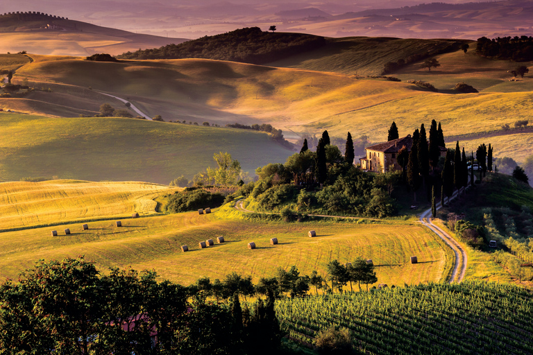 Tuscany Day Trip from Florence: Siena, San Gimignano & Pisa Day Trip with Lunch and Wine Tasting