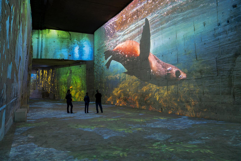 Les Baux-de-Provence: Carrières des Lumières Ocean ticket