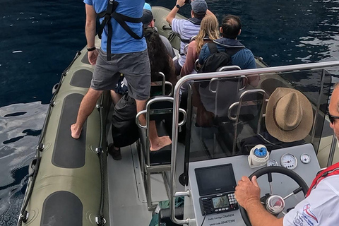 圣米格尔岛：火山奇观、洞穴与历史游船之旅