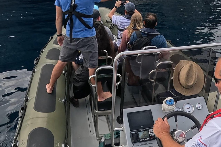 圣米格尔岛：火山奇观、洞穴与历史游船之旅