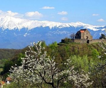 From Sibiu: Blue Line & City Tour Sighisoara - UNESCO