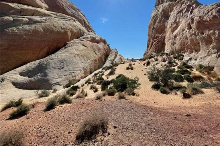 Las Vegas: Tour guidato della Valle del Fuoco in spagnolo