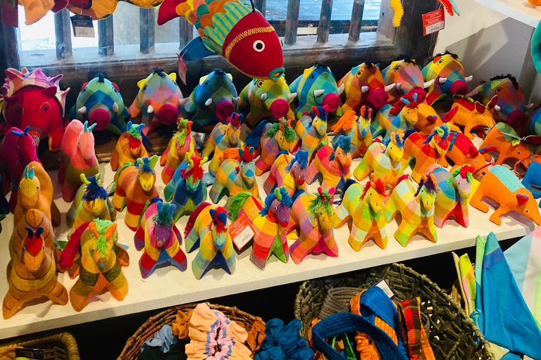 Galle Fort, Mask Museum, and Turtle Hatchery Day Trip