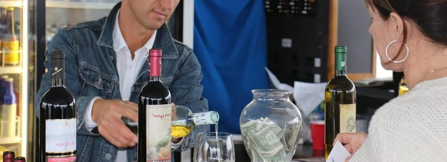 Dana Point : Croisière nocturne sur le port avec collations