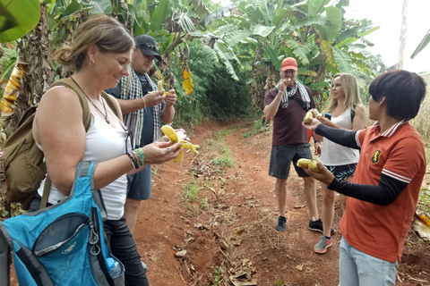 Chiang Mai: Full Day 5 Hill Tribes Tour Transport by Van