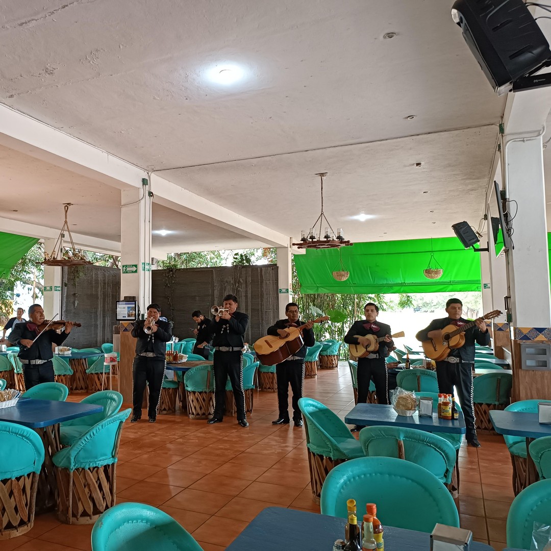 Galería de fotos para redes