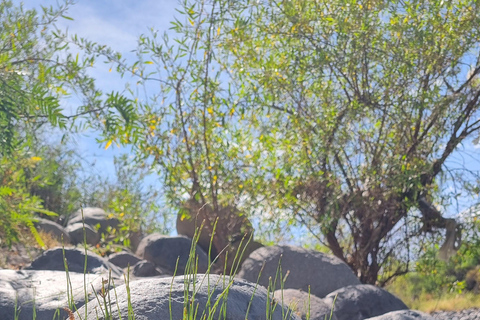 Yoga & Nature Experience – discover the green Arequipa Yoga & Nature Experience - discover the green Arequipa