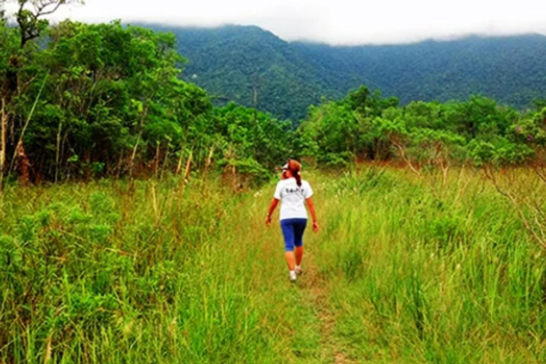 Santos: Waterfall Hike and Boat Ride at the Rain Forest from Sao Paulo: Waterfall Hike and Boat Ride at the R Forest