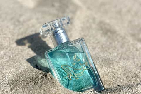 Jeju: Signature Scent Perfume Making Workshop - Image 3
