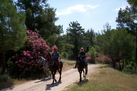 Horseback riding through dunes and pine forests to the beach in Side Horseback riding through dunes and pine forests to Side Beach