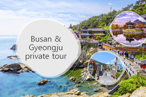 Visite privée en voiture affrétée de Busan et Gyeongju au départ de BusanServices de voitures privées affrétées à Busan