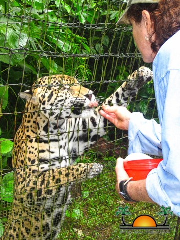 Visit San Pedro Belize Zoo & Cave River Tubing in San Pedro, Belize