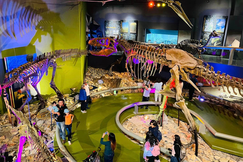 TOUR: "Dinosaur museum" with guide, transfer and tickets Monterrey: Desert Museum Tour