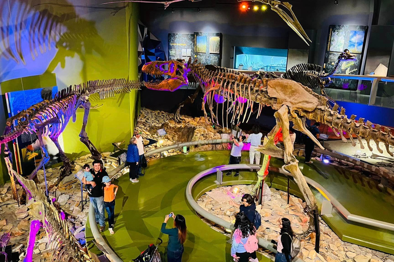 TOUR: "Dinosaur museum" with guide, transfer and tickets Monterrey: Desert Museum Tour