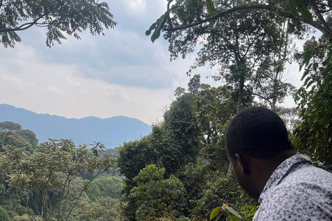 Prachtige watervalervaring midden in Nyungwe Forest