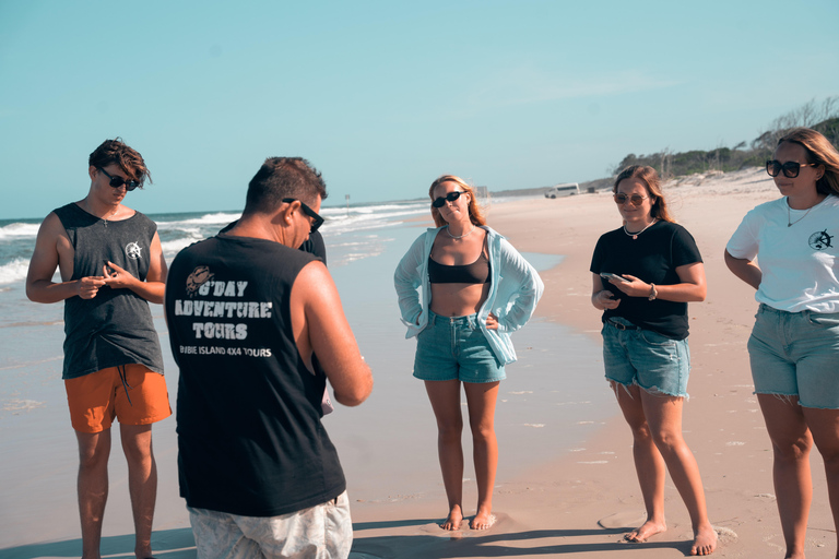 Excursion d&#039;une journée sur l&#039;île de Bribie depuis Brisbane