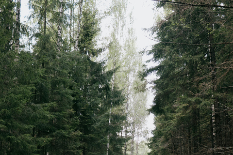 Batumi: Rafting, Waterfall, and Georgian Supra Day Trip