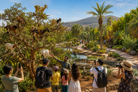 Agadir: Crocoparc & Goats in Argan Trees - Family Day Out