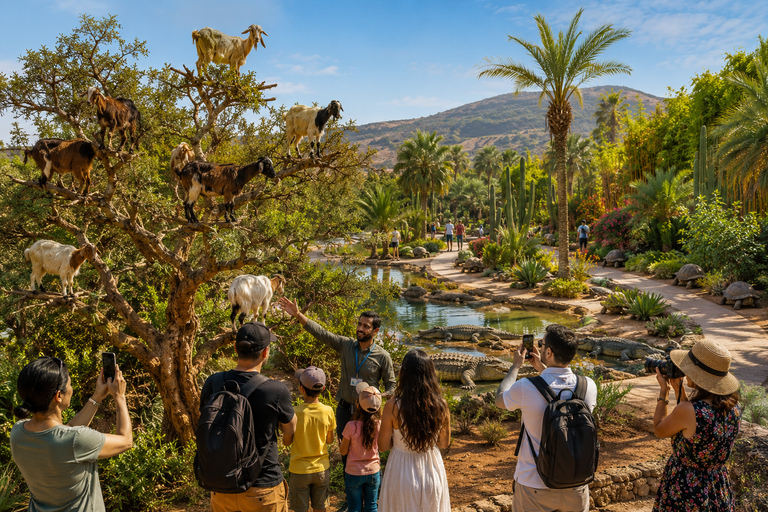 Agadir: Crocoparc & Goats in Argan Trees - Family Day Out