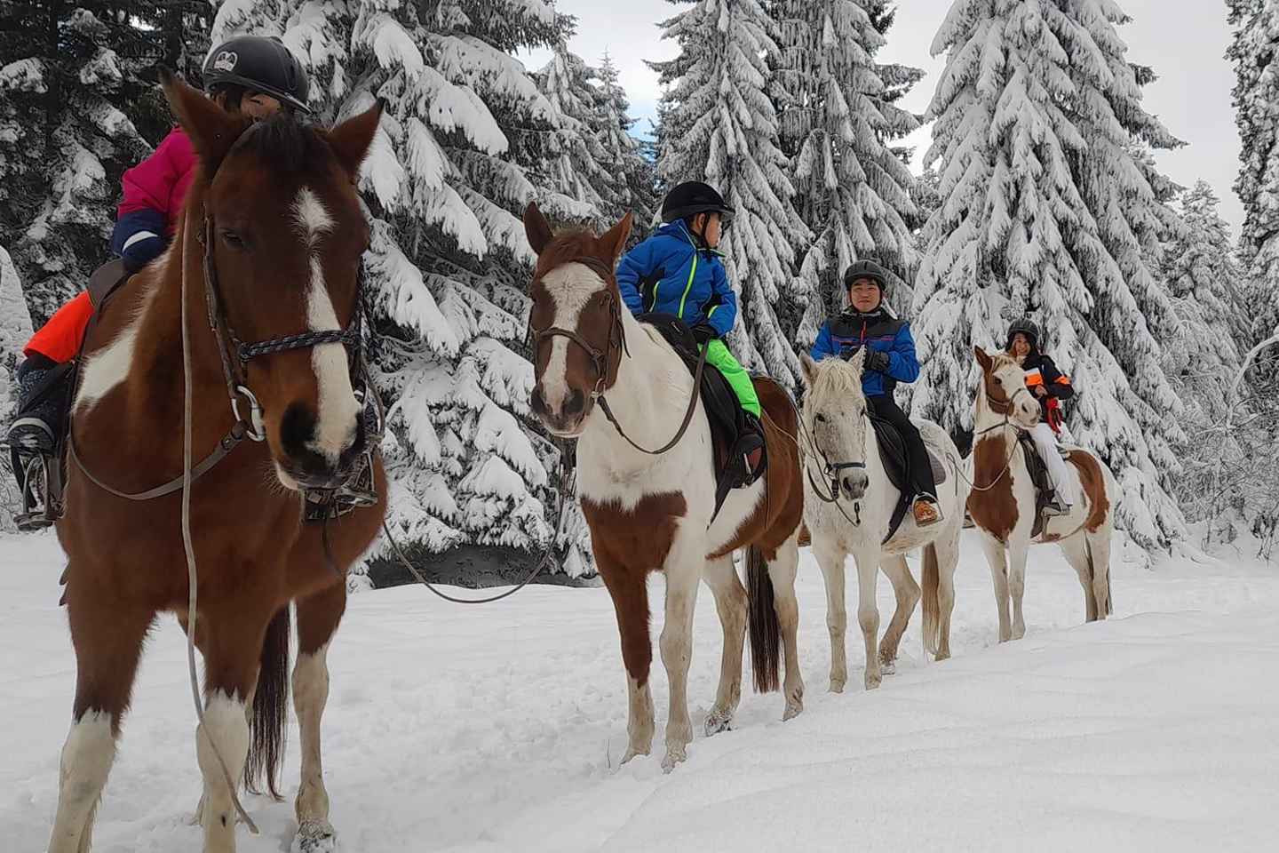 Borovets: Horse Riding Experience