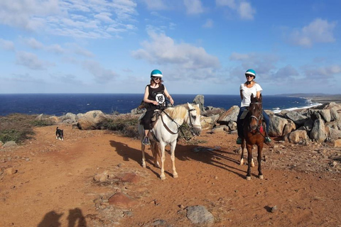 Aruba:Private 2 Hr Horseback Riding Tour For Advanced Riders