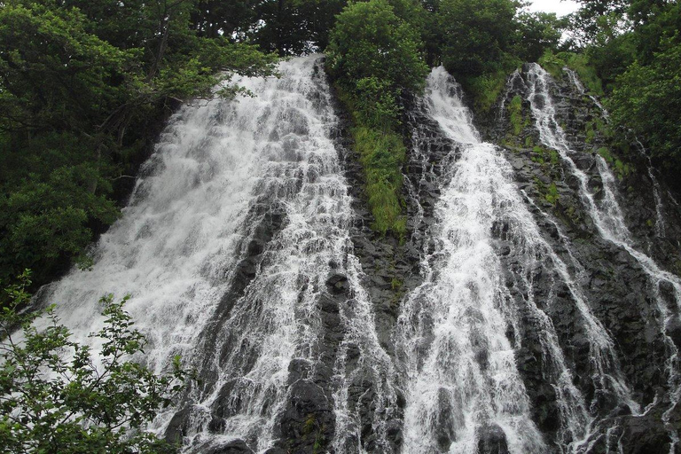 Shiretoko & Kiyosato: Five Lakes Full-Day Nature Tour