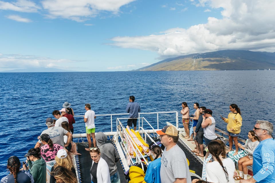 South Maui Molokini and Turtle Town Snorkeling Tour GetYourGuide