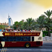 Dubai: 5-Day Hop-on/off Bus, Cruise, Aquarium & Desert Tour | GetYourGuide