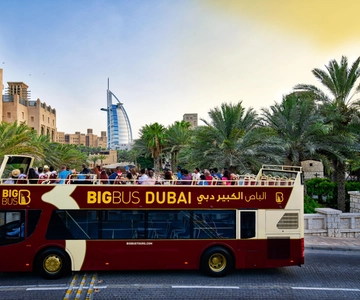 Dubai: 5-Day Hop-on, Hop-off, Cruise, Aquarium & Desert Tour