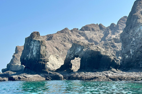 Muscat Dolphin Watching with Village Cruising Tour