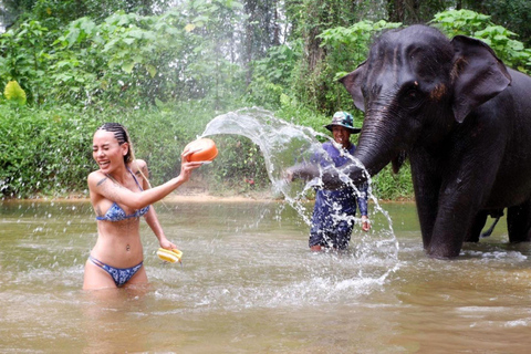 Khao Lak: Tour guiado pelo santuário de elefantesKhao Lak: excursão guiada de meio dia ao santuário de elefantes