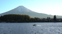 Da Tokyo, Mt. Fuji Sightseeing Private Day Tour - Hizvo
