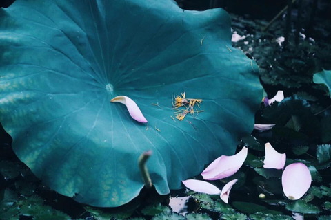 Conheça o antigo Lago Oeste em Hangzhou