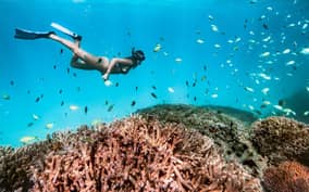  - Canarie.it