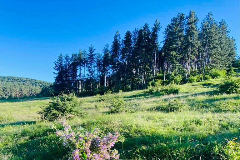 Sofia: The Beauty of the Countryside with a Homemade Lunch